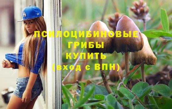 гидропоника Абдулино