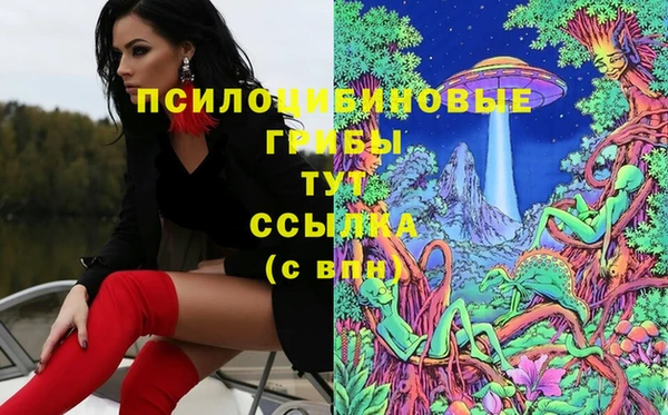 гидропоника Абдулино