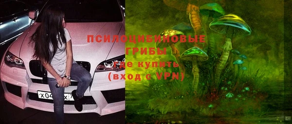 трава Абинск