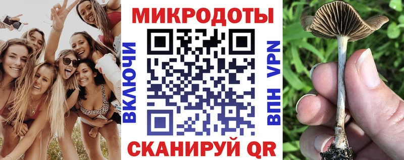 Псилоцибиновые грибы прущие грибы  дарнет шоп  Циолковский 