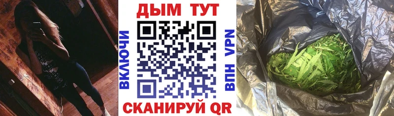 дарнет шоп  Циолковский  Канабис OG Kush 